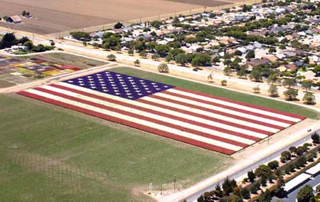 flower flag pic